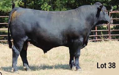 Lot 38 - TJB 149X SNM 509C ET